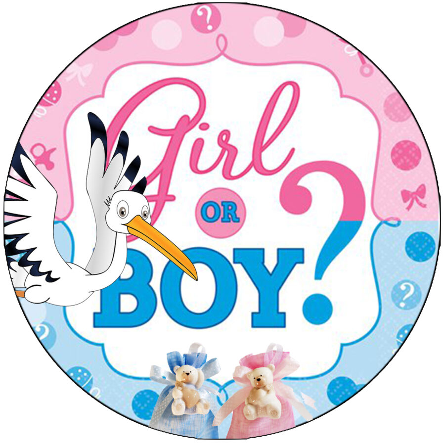 Cialda in ostia per torta BOY OR GIRL scoprire il sesso, personalizzata nome, disco, dolce, torte