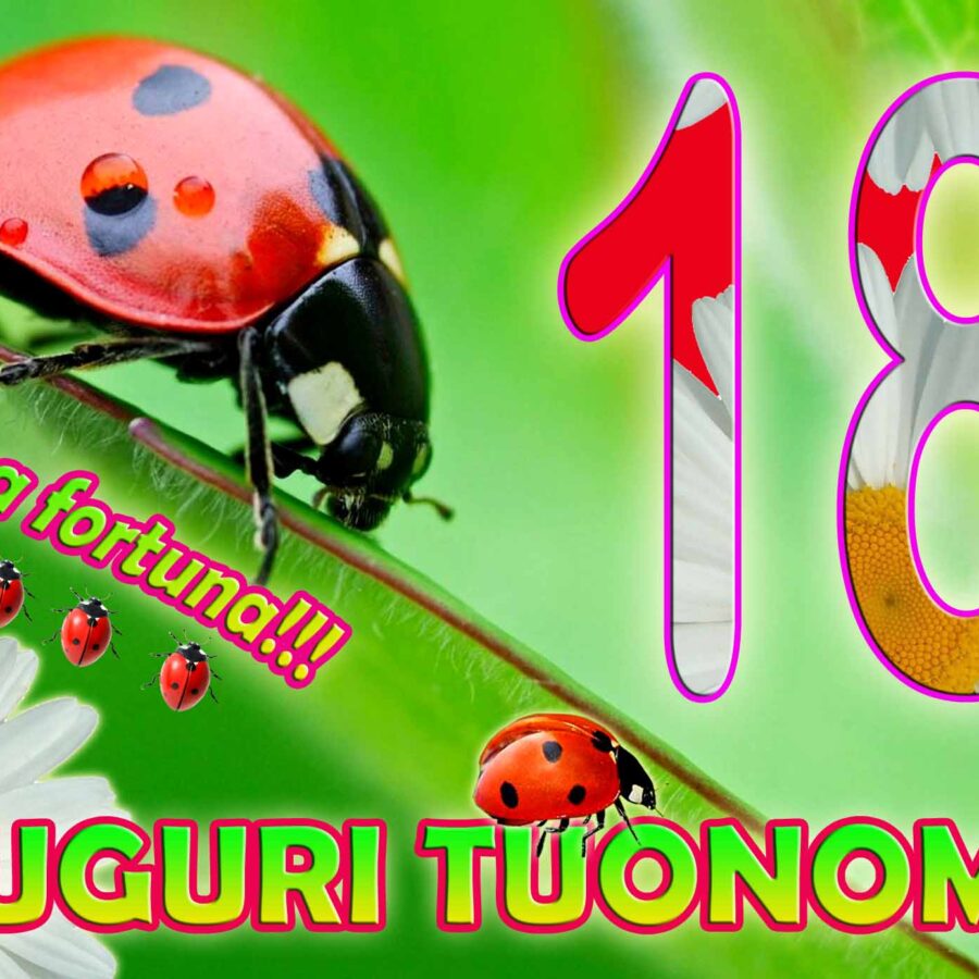 Cialda in ostia per torta rettangolare commestibile senza glutine, BUON COMPLEANNO 18 ANNI, personalizzata con nome, disco, dolce, torte, cialde, fogli, ostie, cake topper, decorazioni, IB