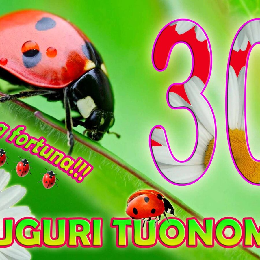 Cialda in ostia per torta rettangolare commestibile senza glutine, 30 ANNI, COMPLEANNO, personalizzata con nome, disco, dolce, torte, cialde, fogli, ostie, cake topper, decorazioni, IF