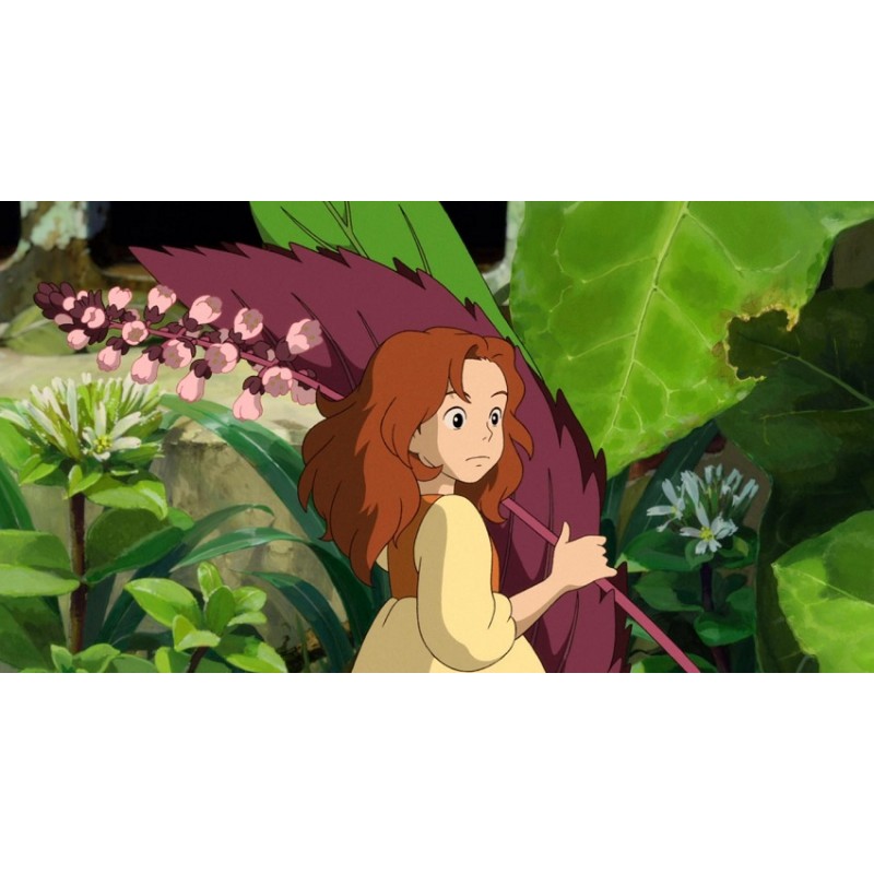 Cialda in ostia per torta con ARRIETTY personalizzata