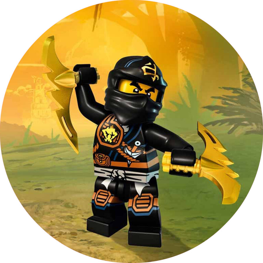 Cialda in ostia per torta tonda commestibile senza glutine, LEGO NINJAGO, personalizzata con nome, disco, dolce, torte, cialde, fogli, ostie, cake topper, decorazioni, BD