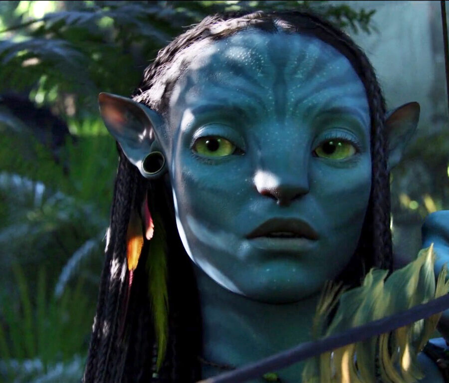 Cialda in ostia commestibile per torta rettangolare AVATAR NEYTIRI, personalizzata con nome, disco, dolce, torte, cialde, ostie, cake topper, decorazioni, A13
