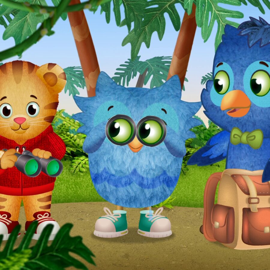 Cialda in ostia commestibile senza glutine per torta rettangolare DANIEL TIGER, personalizzata con nome, disco, dolce, torte, cialde, foglio, ostie, cake topper, decorazioni, AO