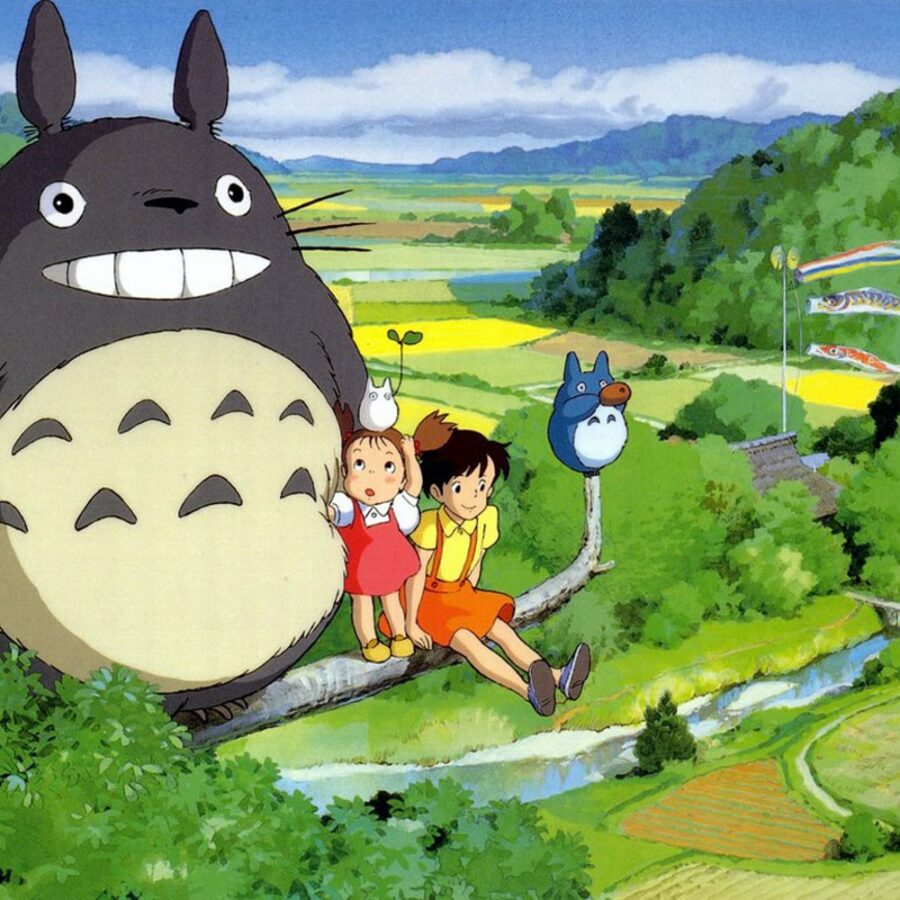 Cialda ostia per torta senza glutine rettangolare, IL MIO VICINO TOTORO, personalizzata con nome, disco, dolce, torte, cialde, fogli, ostie, cake topper, decorazioni, AB