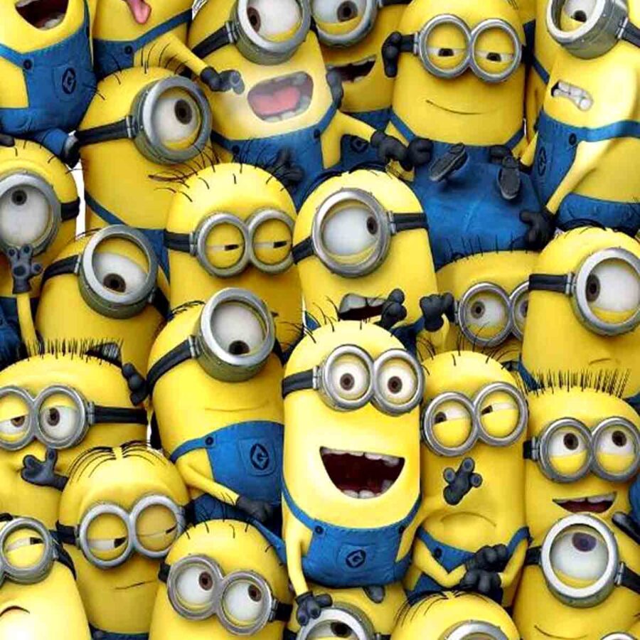 Cialda in ostia per torta rettangolare commestibile senza glutine, MINIONS, personalizzata con nome, disco, dolce, torte, cialde, fogli, ostie, cake topper, decorazioni, BO