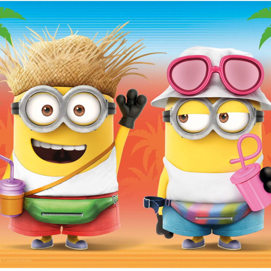 Cialda in ostia per torta rettangolare commestibile senza glutine, MINIONS, personalizzata con nome, disco, dolce, torte, cialde, fogli, ostie, cake topper, decorazioni, DZ