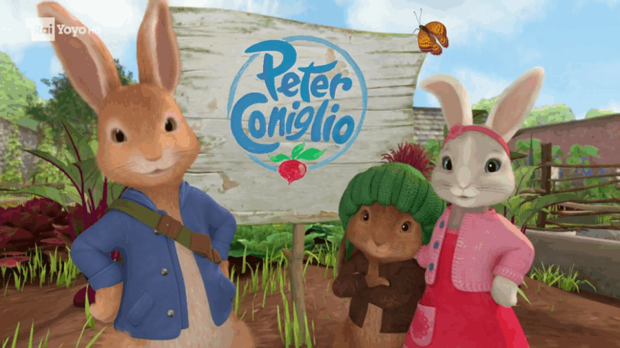 Cialda ostia per torta senza glutine rettangolare, PETER CONIGLIO, RABBIT, personalizzata con nome, disco, dolce, torte, cialde, fogli, ostie, cake topper, decorazioni, AB