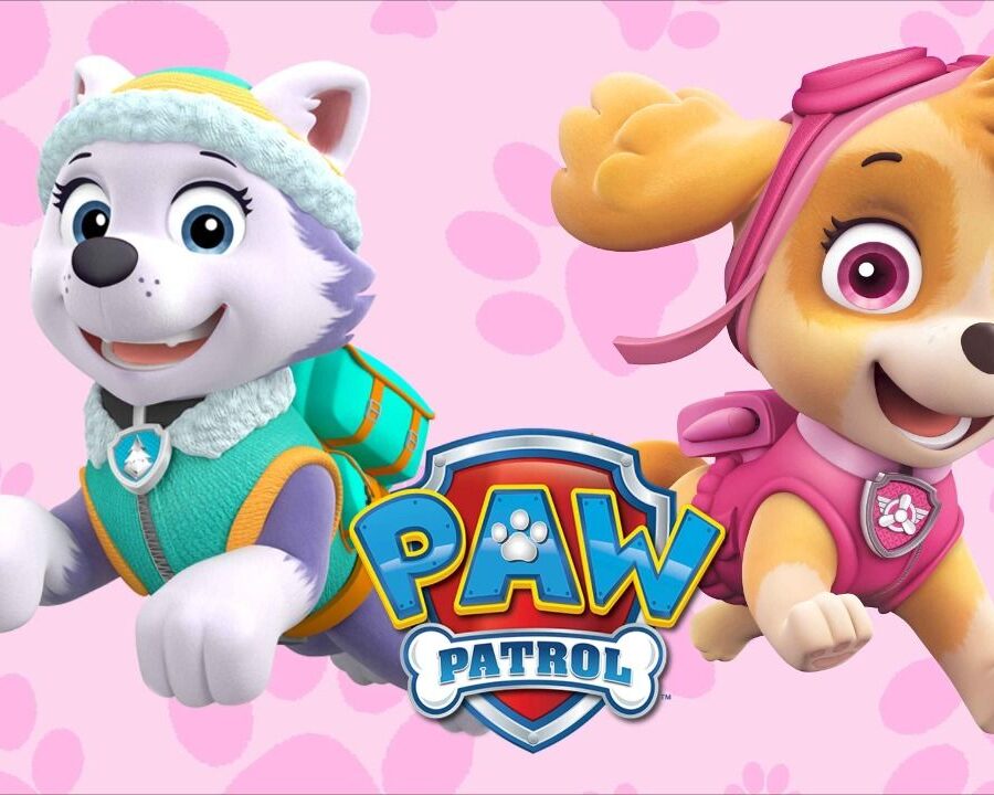 Cialda ostia senza glutine per torta rettangolare, PAW PATROL, personalizzata con nome, disco, dolce, torte, cialde, ostie, cake topper, decorazioni, BD