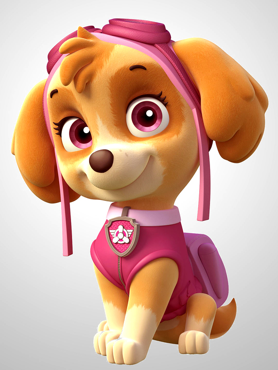 Cialda ostia senza glutine per torta rettangolare, PAW PATROL, SKYE, personalizzata con nome, disco, dolce, torte, cialde, ostie, cake topper, decorazioni, AO