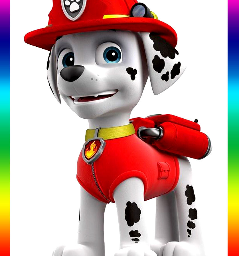 Cialda ostia senza glutine per torta rettangolare, PAW PATROL, MARSHALL, personalizzata con nome, disco, dolce, torte, cialde, ostie, cake topper, decorazioni, AP