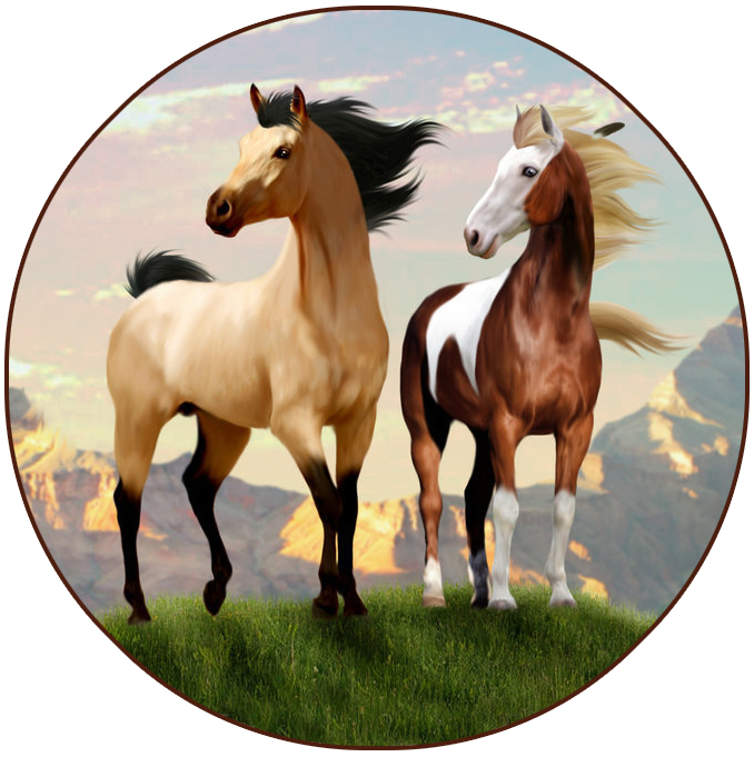 Cialda in ostia per torta tonda commestibile senza glutine, SPIRIT-CAVALLO SELVAGGIO, personalizzata con nome, disco, dolce, torte, cialde, fogli, ostie, cake topper, decorazioni, AA