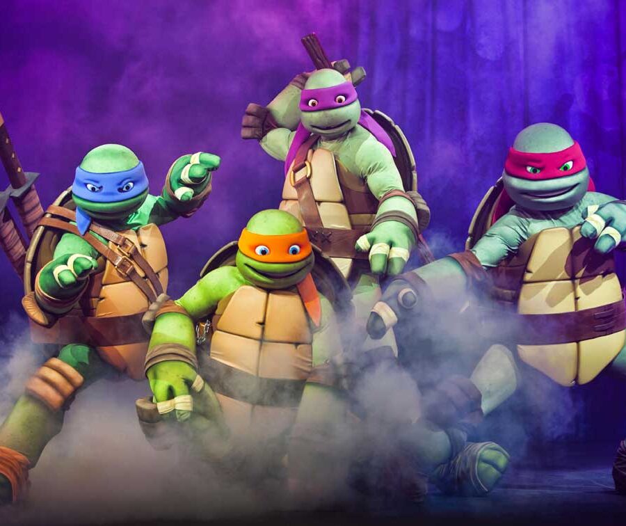 Cialda ostia senza glutine per torta rettangolare, TARTARUGHE NINJA, TURTLES, personalizzata con nome, disco, dolce, torte, cialde, fogli, ostie, cake topper, decorazioni, AZ