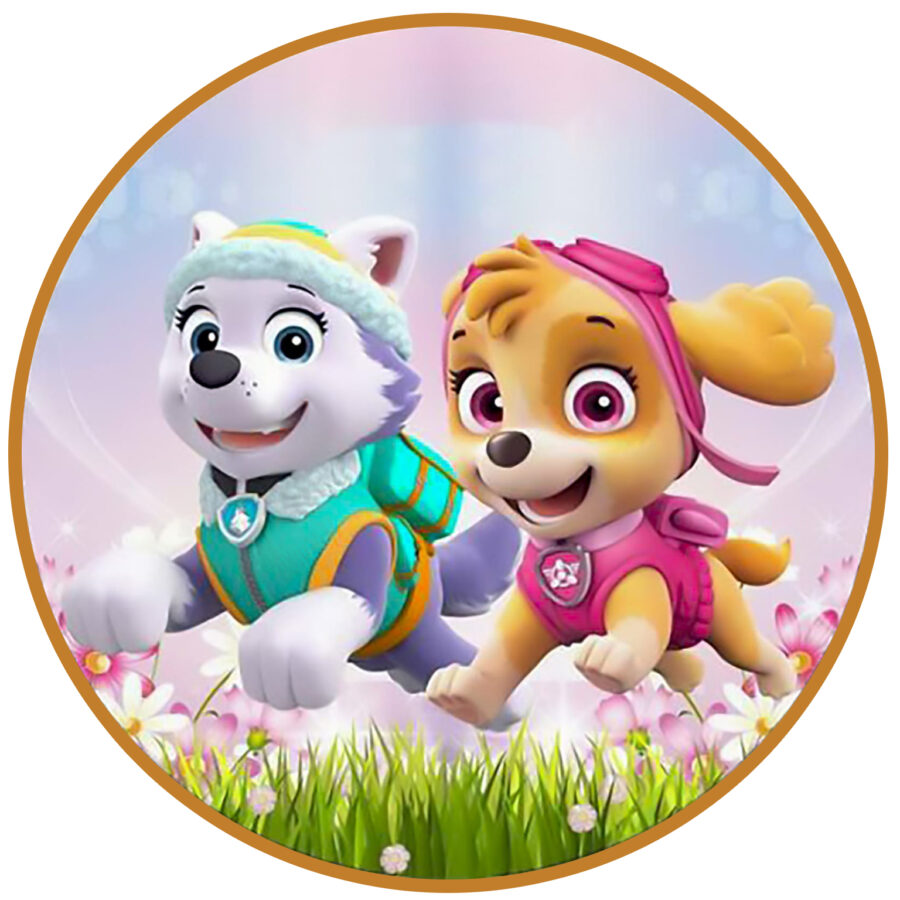 Cialda ostia senza glutine per torta tonda, PAW PATROL, personalizzata con nome, disco, dolce, torte, cialde, ostie, cake topper, decorazioni, DD