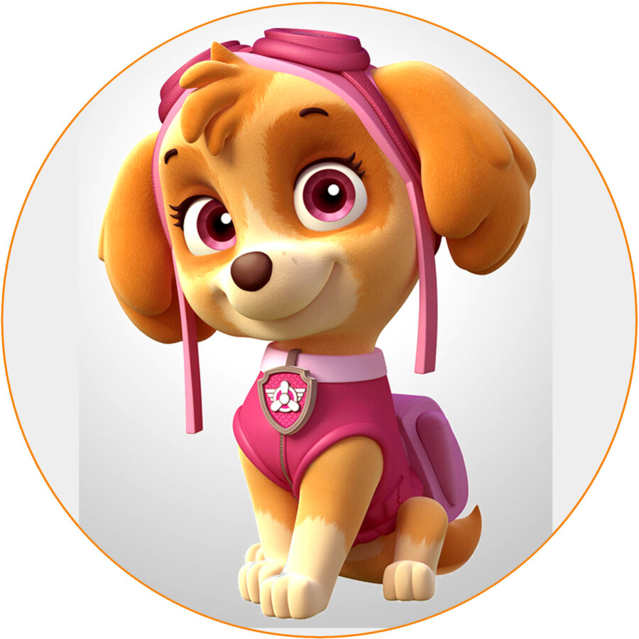 Cialda ostia senza glutine per torta tonda, PAW PATROL, SKYE, personalizzata con nome, disco, dolce, torte, cialde, ostie, cake topper, decorazioni, DU