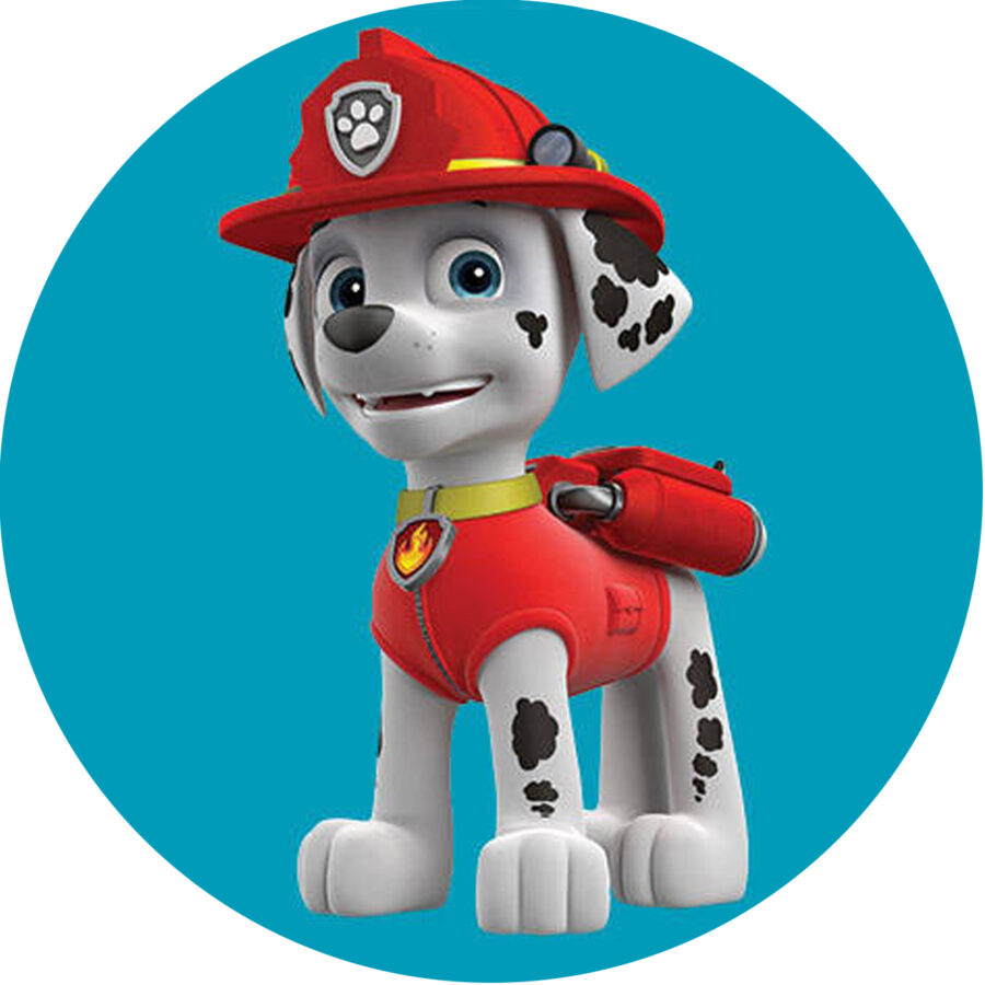 Cialda ostia senza glutine per torta tonda, PAW PATROL, MARSHALL, personalizzata con nome, disco, dolce, torte, cialde, ostie, cake topper, decorazioni, DZ