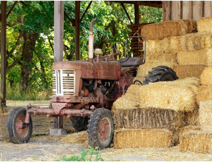 Cialda in ostia per torta rettangolare TRATTORE TRATTORI MEZZO AGRICOLO, personalizzata con nome, disco, dolce, torte, cialde, ostie, cake topper, decorazioni, 27