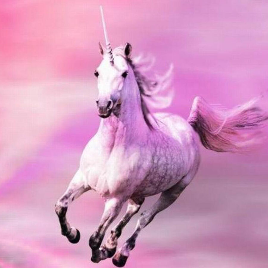 Cialda in ostia commestibile per torta rettangolare UNICORNO, personalizzata con nome, disco, dolce, torte, cialde, ostie, cake topper, decorazioni, 060