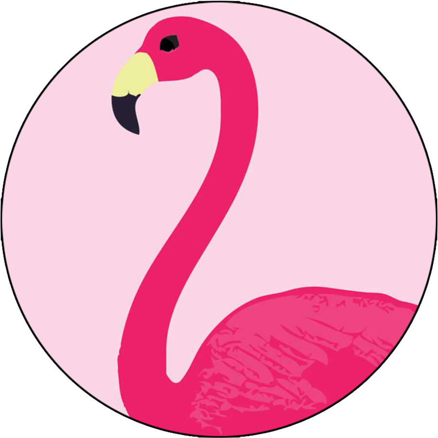 Cialda in ostia per torta tonda FENICOTTERO ROSA FLAMINGO, personalizzata con nome, disco, dolce, torte, cialde, ostie, cake topper, decorazioni, 20
