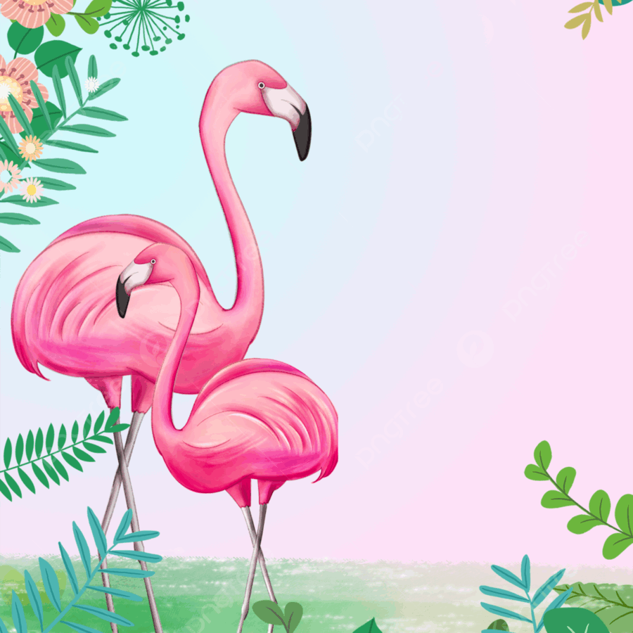 Cialda in ostia per torta rettangolare FENICOTTERO ROSA FLAMINGO, personalizzata con nome, disco, dolce, torte, cialde, ostie, cake topper, decorazioni, 24