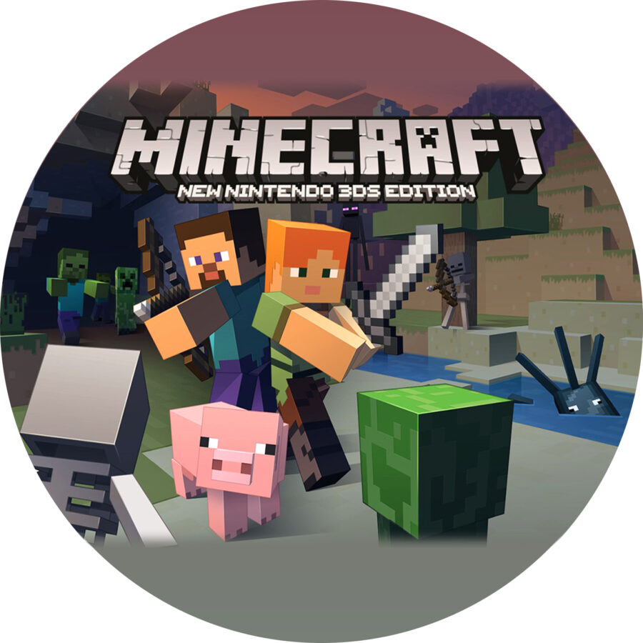 Cialda in ostia per torta MINECRAFT, personalizzata con nome, disco, dolce, torte, cialde, ostie, cake topper, decorazioni
