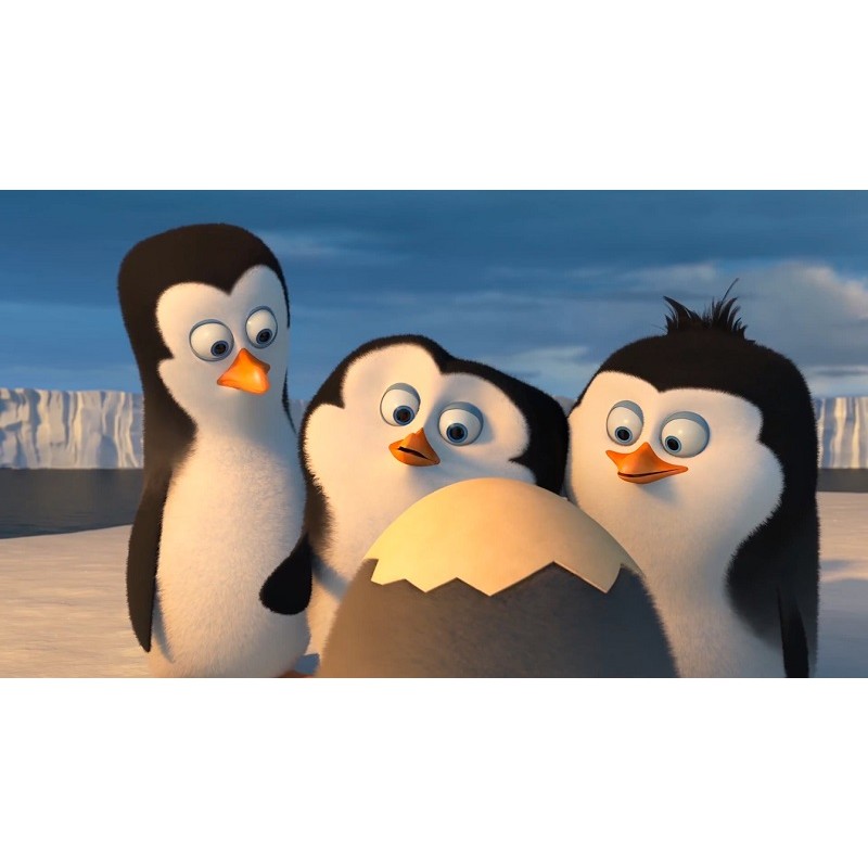 Cialda in ostia per torta con PINGUINI MADAGASCAR  personalizzata