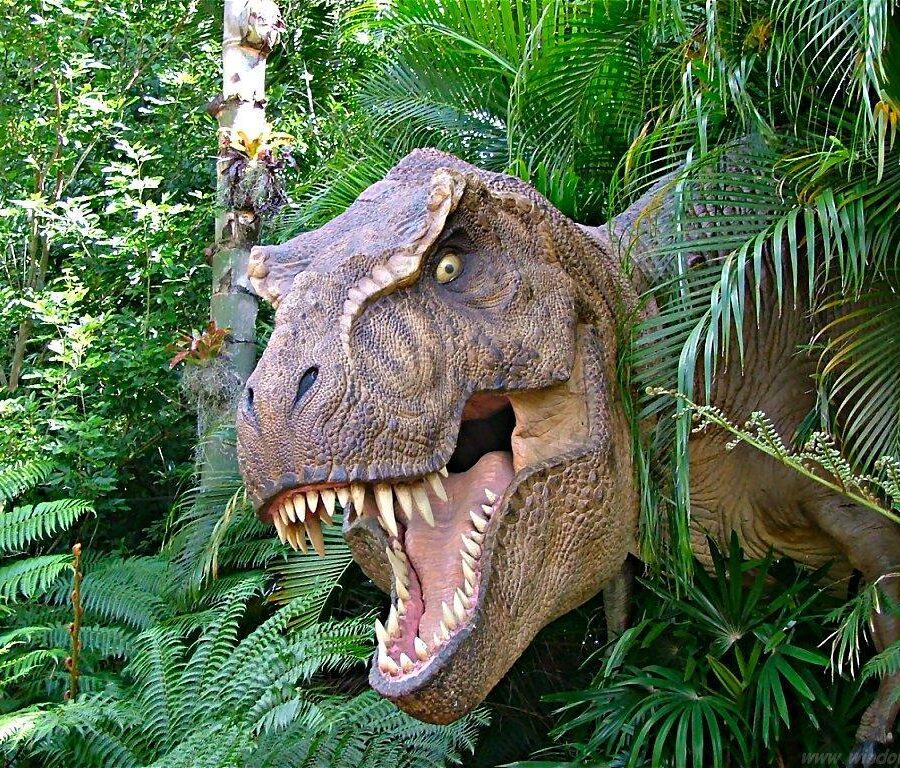 Cialda in ostia per torta DINOSAURI DINOSAURO T REX, personalizzata nome, disco, dolce, torte, cialde, ostie