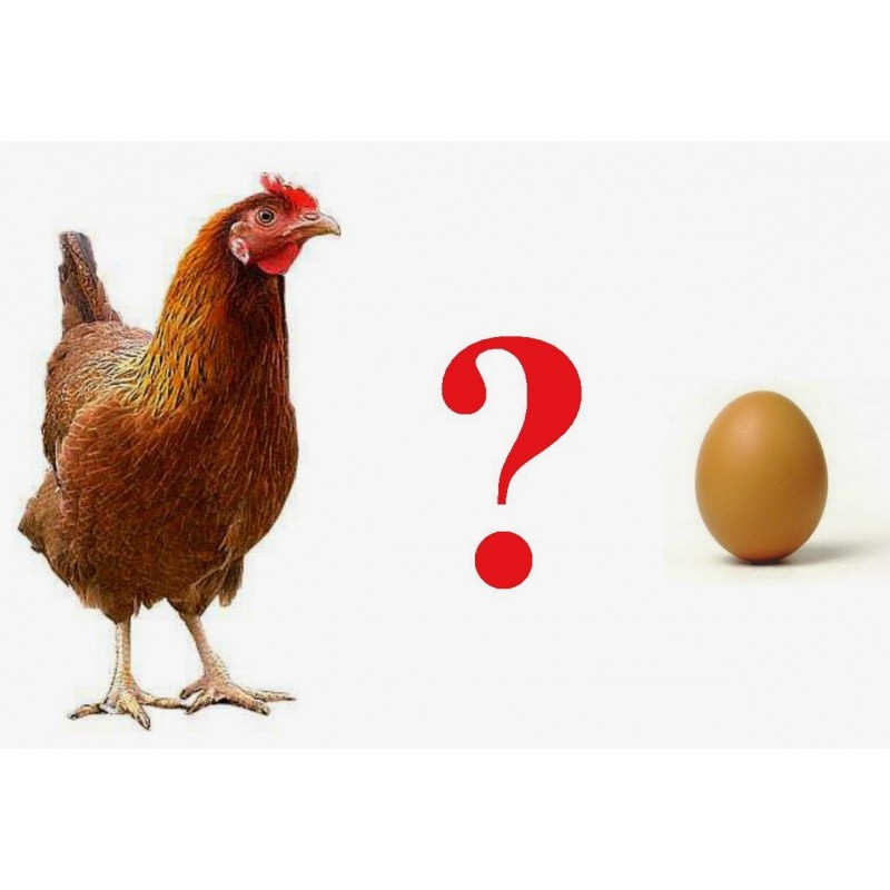 Cialda in ostia per torta con UNA GALLINA E UN UOVO personalizzata